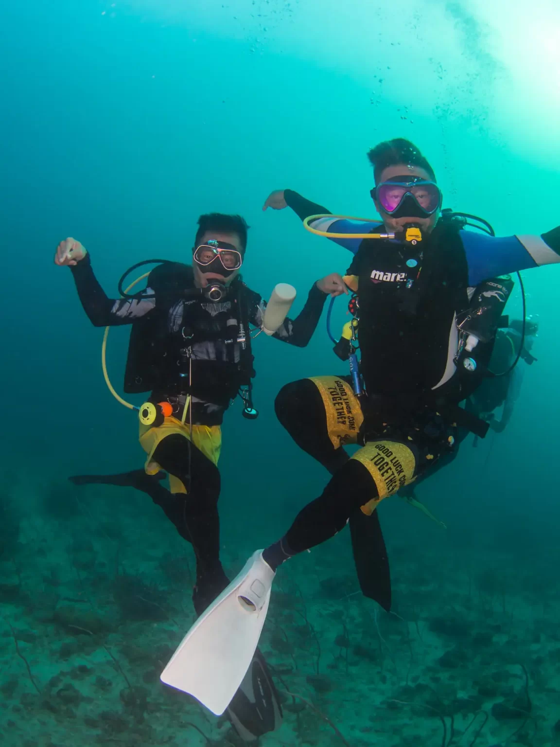 刁曼岛中性浮力练习 潜水员悬浮实拍 | Tioman Dive Buddy